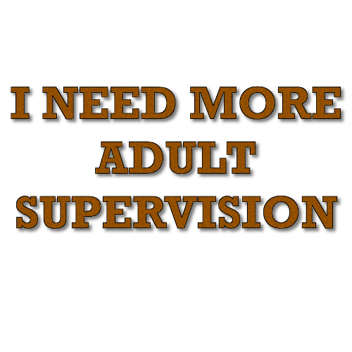 T-Shirt: I NEED MORE ADULT SUPERVISION