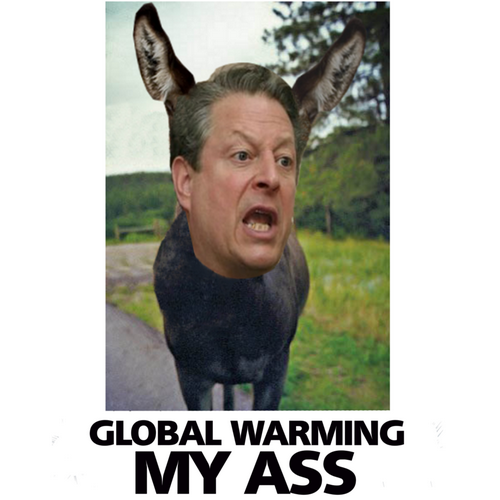 Hoodie: GLOBAL WARMING MY ASS