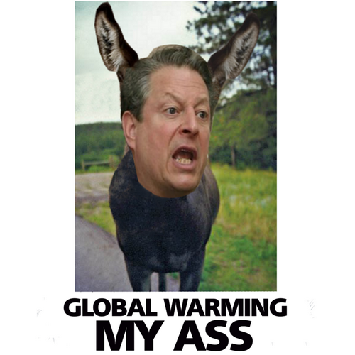 T-Shirt: GLOBAL WARMING MY ASS