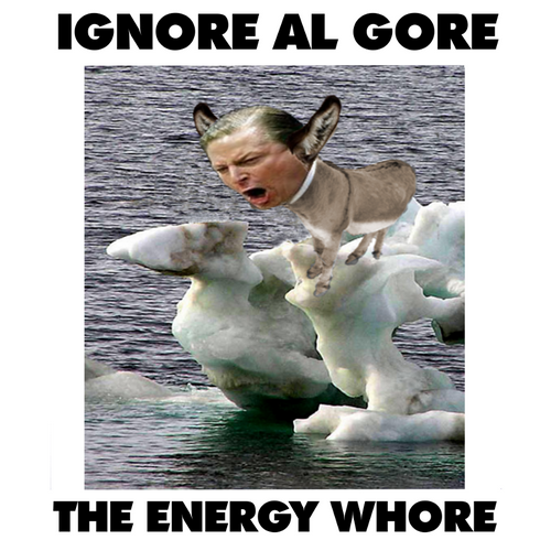 Hoodie: IGNORE AL GORE