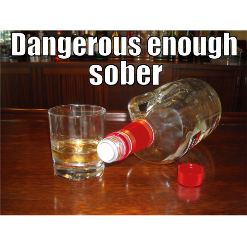 Hoodie: DANGEROUS ENOUGH SOBER