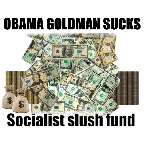 Hoodie: OBAMA GOLDMAN SUCKS