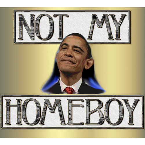 T-Shirt: NOT MY HOMEBOY