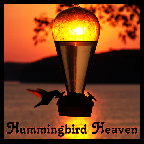 Hoodie: HUMMINGBIRD HEAVEN