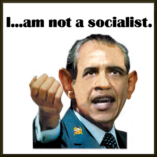 T-Shirt: I AM NOT A SOCIALIST